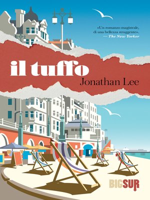 cover image of Il tuffo